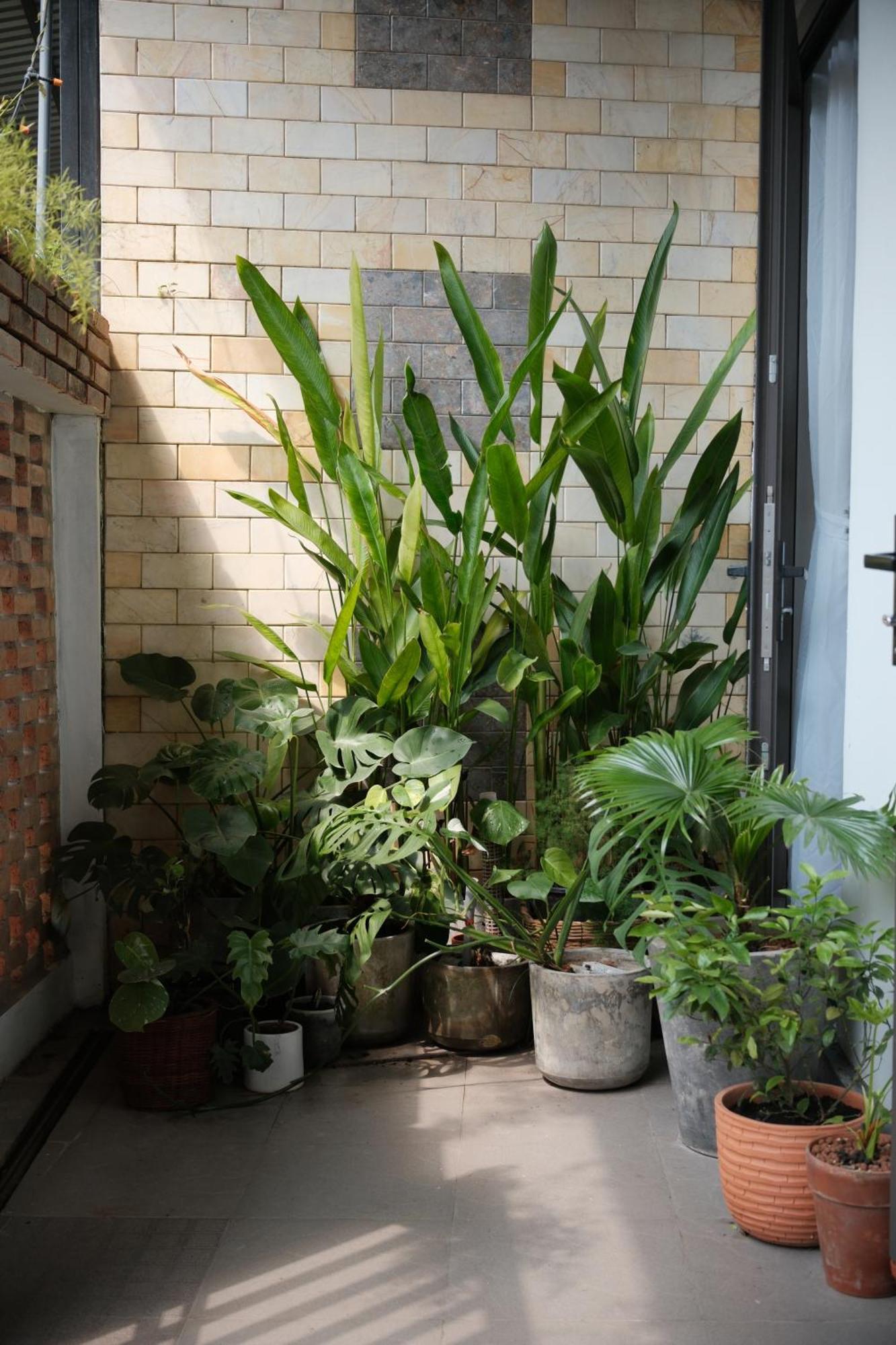 Glory Hue Homestay Esterno foto