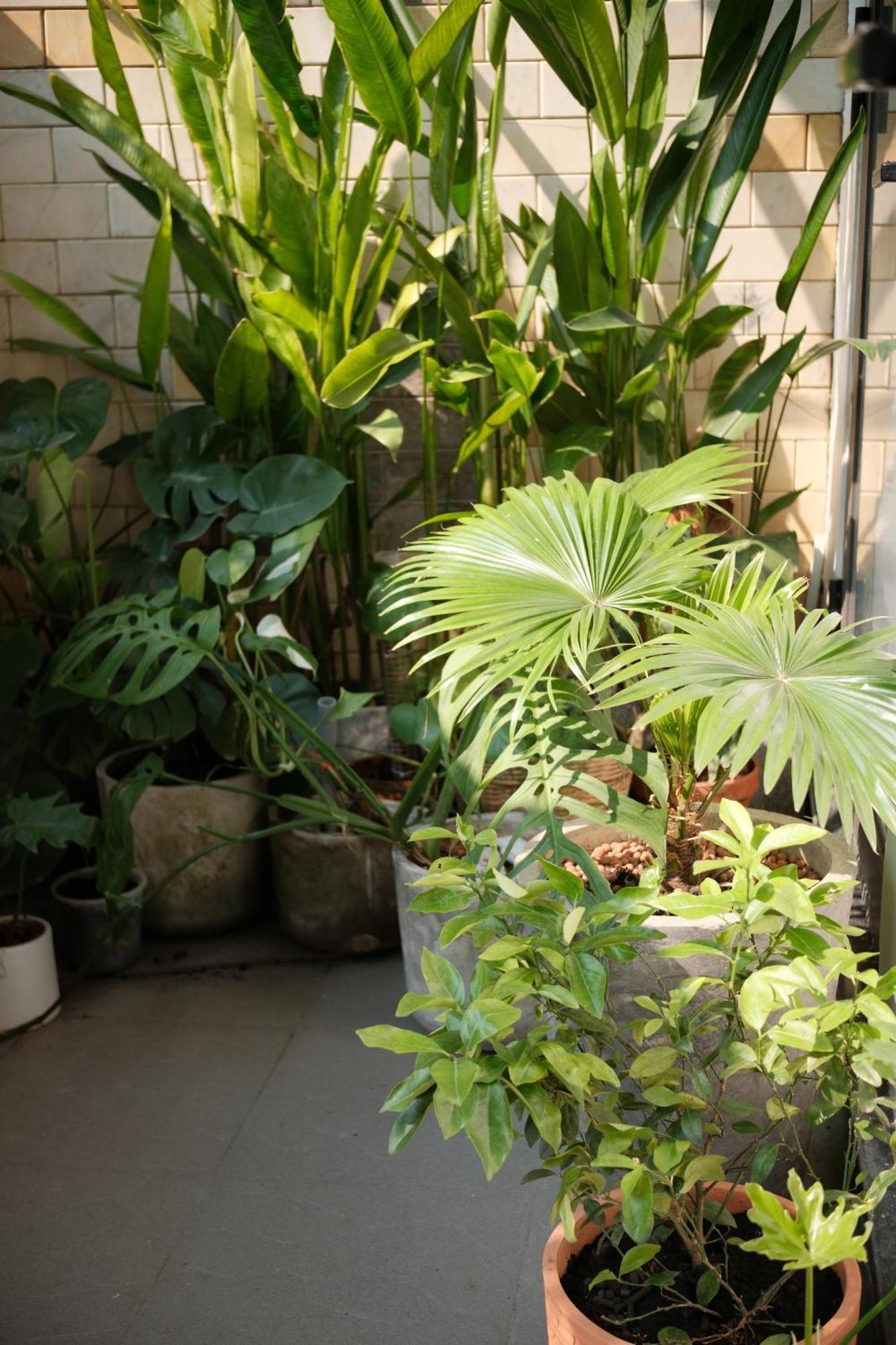 Glory Hue Homestay Esterno foto