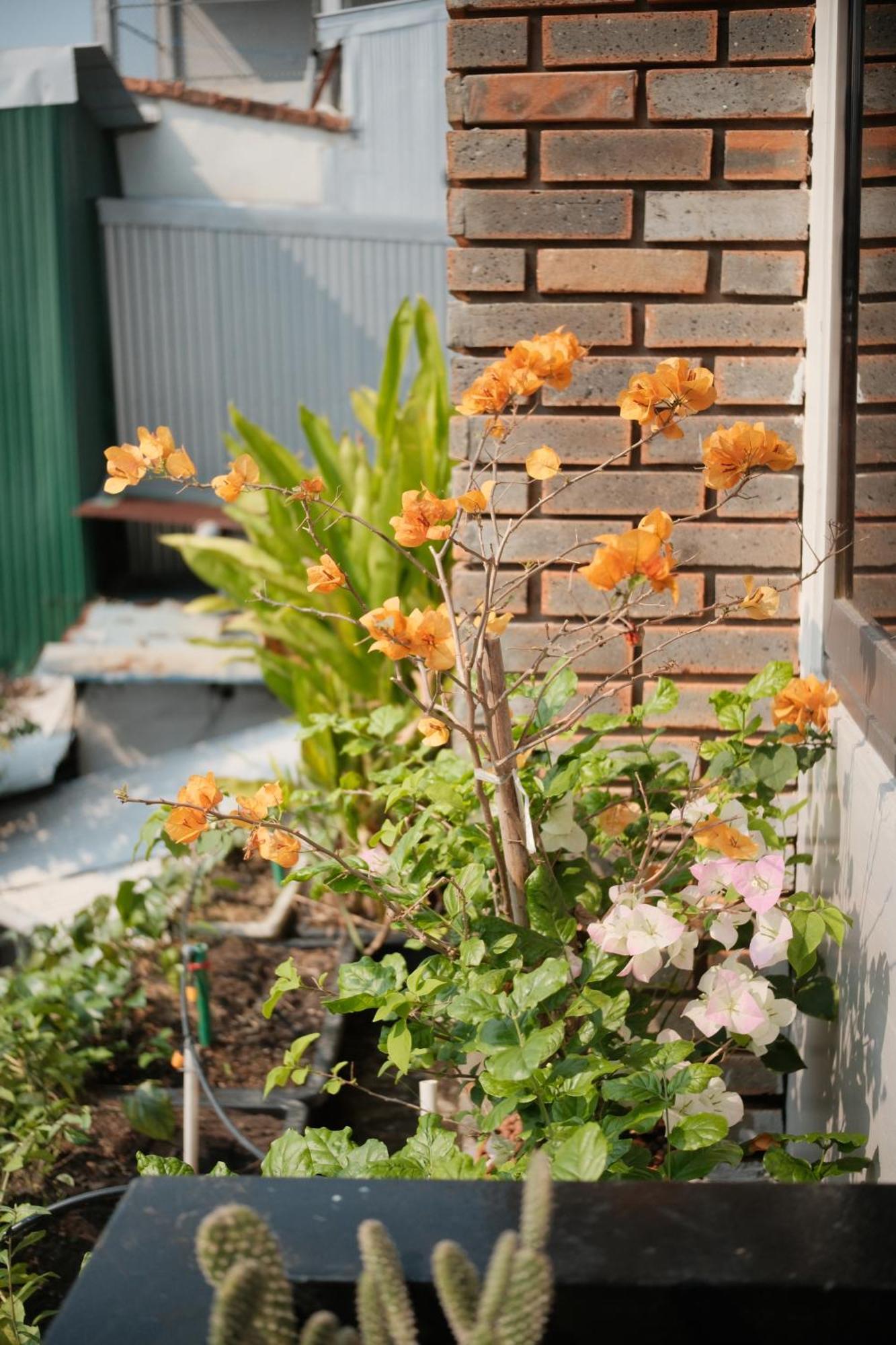 Glory Hue Homestay Esterno foto